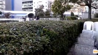 国产精品一级AV在线播放_国产人成视频在线观看播放_免费无码又爽V888JAV
